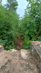 /galleries/bosnia/images/2025-07-17T15:46:06.jpg